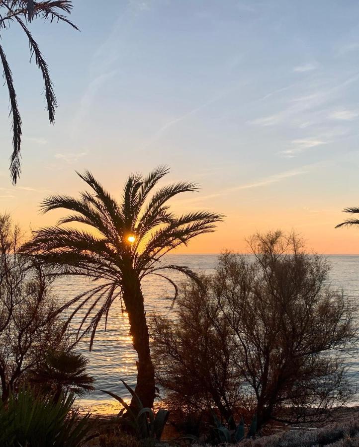 Studio Sanary-Sur-Mer Proche Gare Luaran gambar